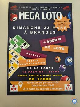 Image du loto Mega loto à Branges organisé par les JA de Louhans