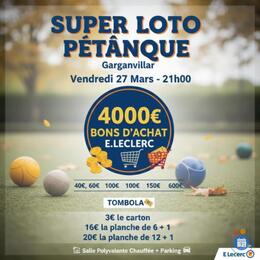Image du loto Loto de la Pétanque