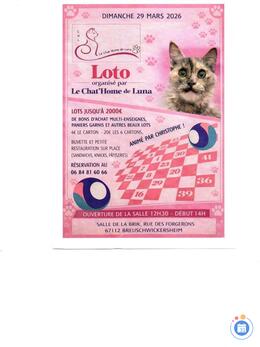 Image du loto Loto du chat'home de luna animé par Christophe