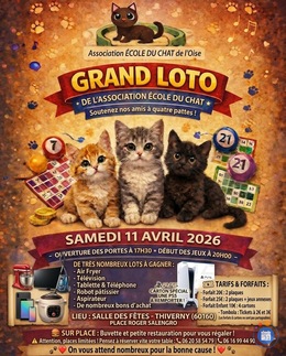 Affiche du loto Grand loto école du chat