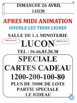 Image du loto Après midi Animation Loto Toutes les 3 Lignes sont Doublées
