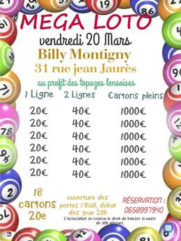 Image du loto Méga loto