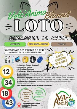 Image du loto Loto Volc'Animo
