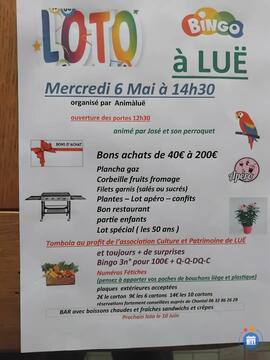 Image du loto LOTO BINGO